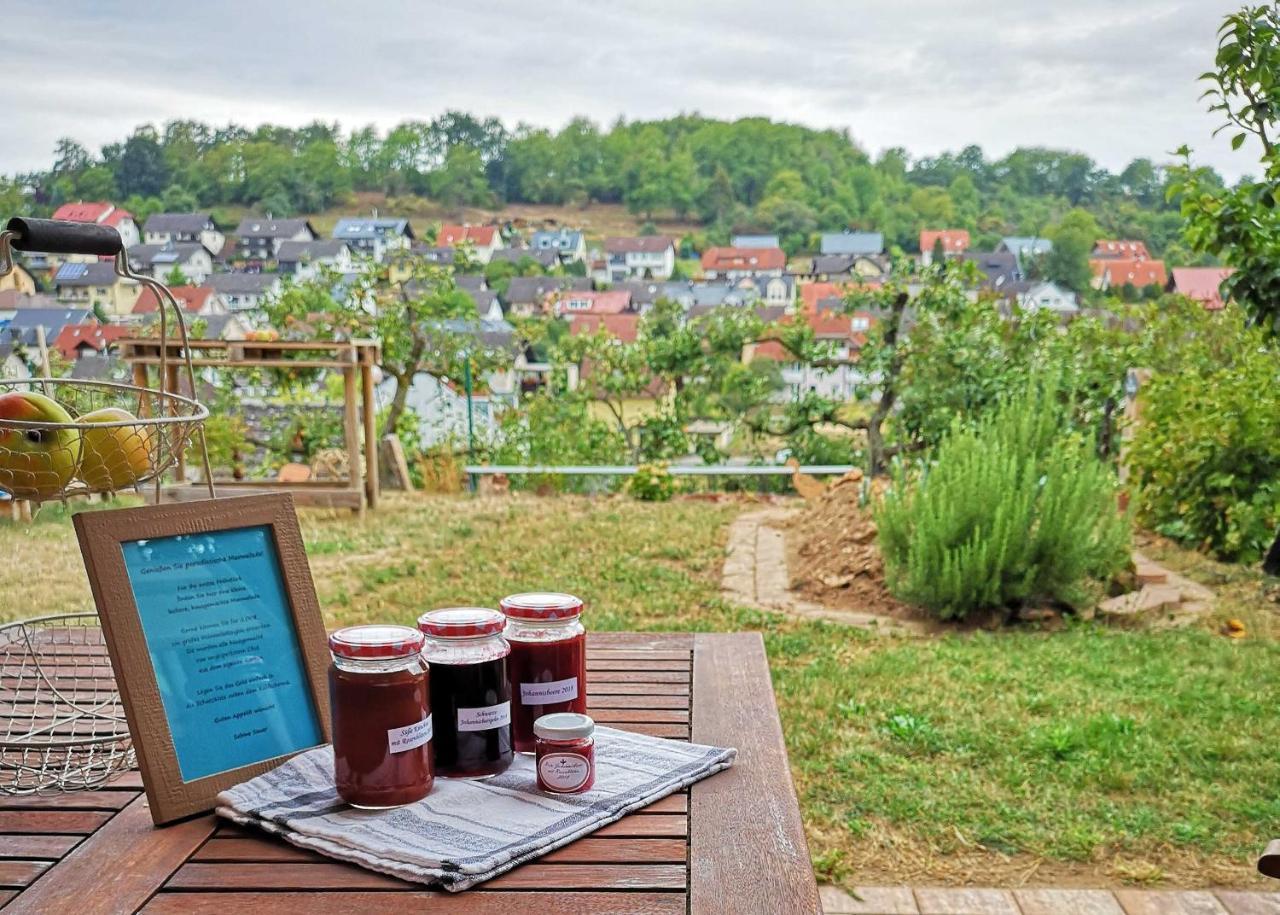 Ferienwohnung Im Paradies Momlingen Exterior foto